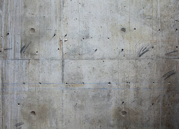 Best Stamped Concrete Services in Arp, TX